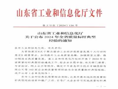 世界杯信誉买球机械荣获2024年全省质量标杆奖