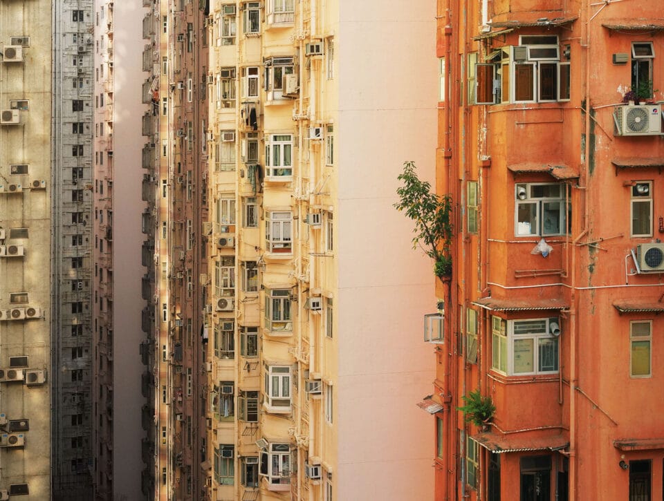 a tree grows from an upper floor of an orange building